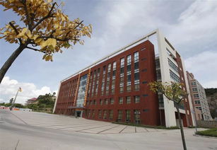 珠海金灣5所本科高校投檔線公布，職業(yè)教育培訓助力學子成才